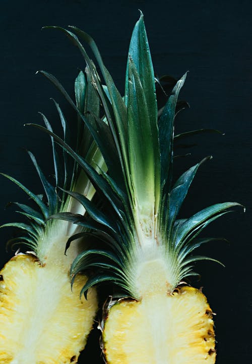 菠萝片 · 免费素材图片