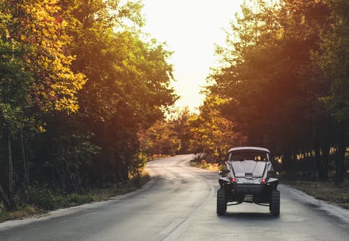 银车在绿色的树叶之间 · 免费素材图片