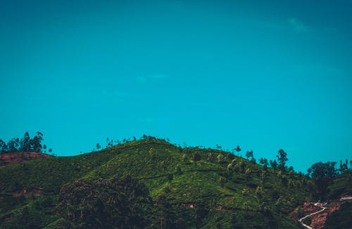 晴朗的天空下的绿色森林山 · 免费素材图片