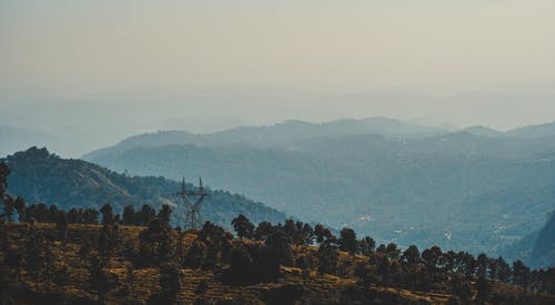 白天风景摄影在山上的树木 · 免费素材图片