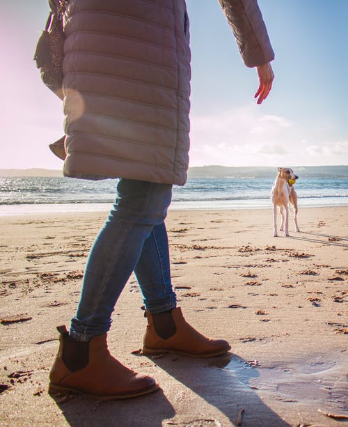 泡泡外套的人在白天在狗附近的海滩上行走 · 免费素材图片