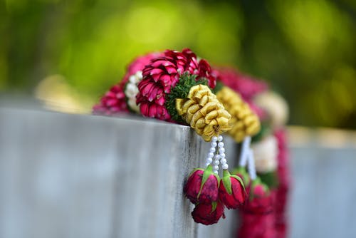 红玫瑰花卉装饰的选择性聚焦摄影 · 免费素材图片