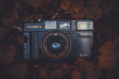 黑色yashica紧凑型胶片相机放在棕色的叶子上 · 免费素材图片