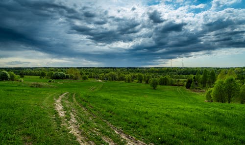 在绿色的田野下的灰云 · 免费素材图片