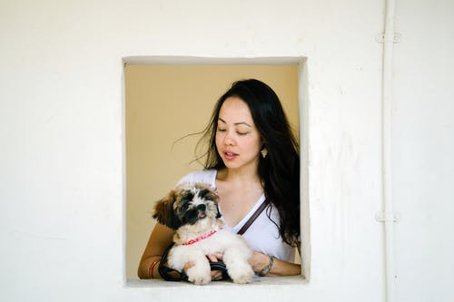 女人穿着白衬衫抱着小狗 · 免费素材图片