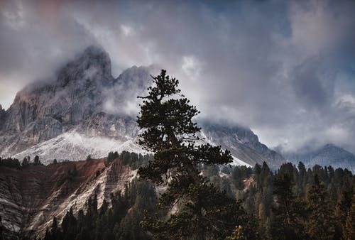 树木和山脉的鸟瞰图摄影 · 免费素材图片