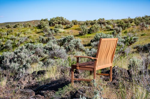在绿色草地上的棕色木制扶手椅 · 免费素材图片