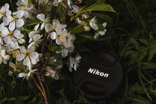 黑色尼康单反相机镜头盖附近白色花瓣花 · 免费素材图片