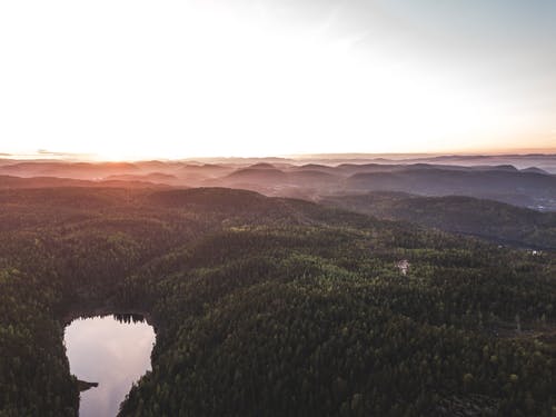 绿树覆盖的山脉 · 免费素材图片