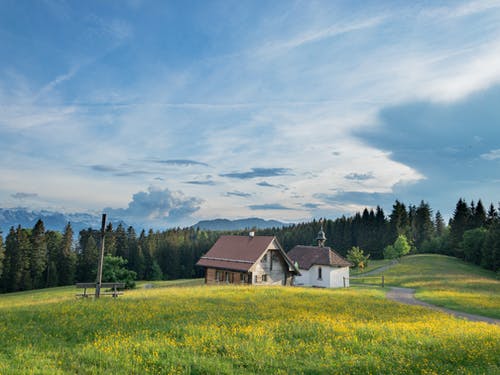 在蓝天下的绿色田野上的白色和棕色房子 · 免费素材图片