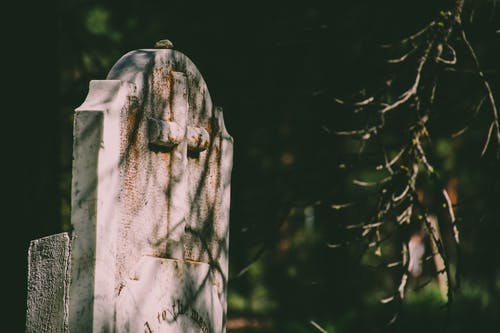 墓碑的选择性聚焦摄影 · 免费素材图片