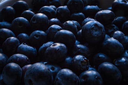 蓝莓的特写照片 · 免费素材图片