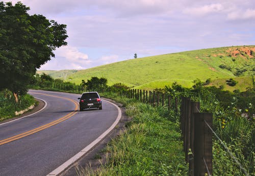 绿叶植物附近道路上的黑色车辆 · 免费素材图片