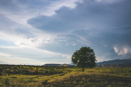 在山与多云的天空旁边的绿叶树 · 免费素材图片