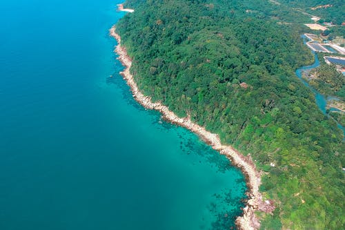 水体附近树木的航拍 · 免费素材图片