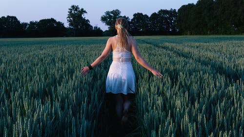 白色无袖迷你连衣裙站在草丛之间的女人 · 免费素材图片