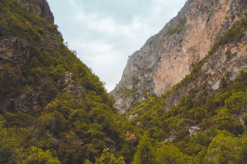 岩层山绿树 · 免费素材图片