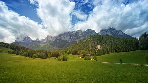 绿草与树木和山在多云的天空下的背景中的字段 · 免费素材图片