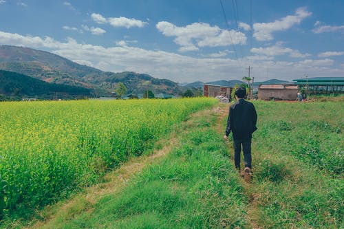 穿着西装的男人 · 免费素材图片