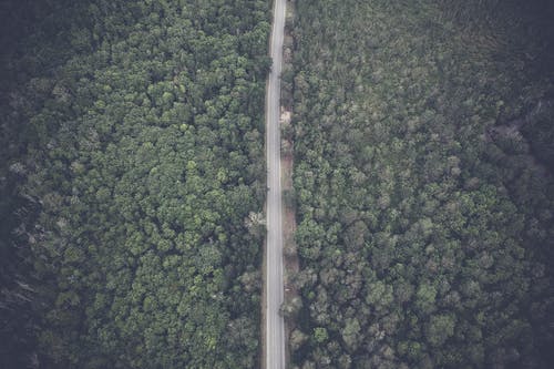 森林的航拍照片 · 免费素材图片
