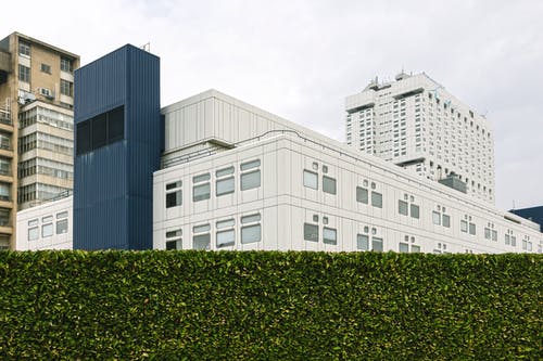 布什墙后的白色和蓝色高层建筑 · 免费素材图片
