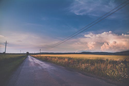 草地之间的混凝土路 · 免费素材图片