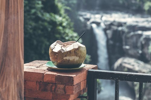 棕椰子 · 免费素材图片