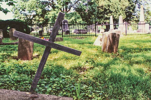在绿色草地上的木制十字架的摄影 · 免费素材图片