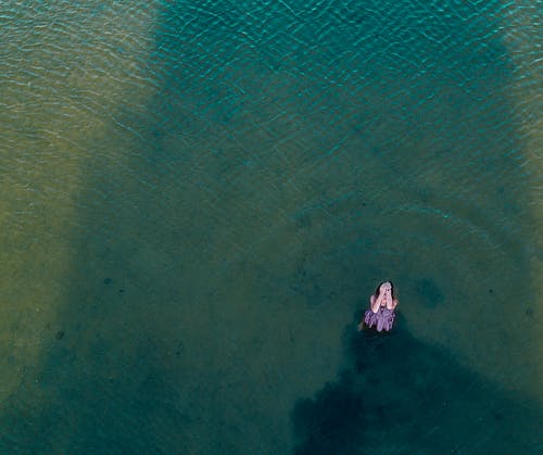女人在水中的空中观 · 免费素材图片