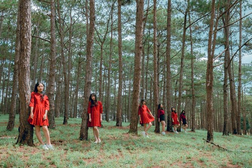 一群女人穿着红色的裙子 · 免费素材图片