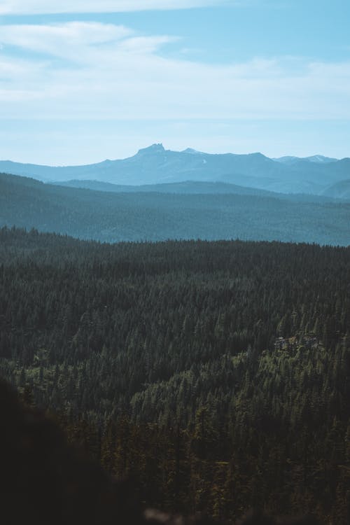 有关Copyspace, 下午, 不变的免费素材图片