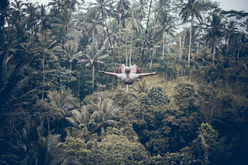 在棕榈树上使用拉链衬里的男人 · 免费素材图片