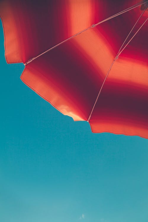 红色和橙色的伞 · 免费素材图片