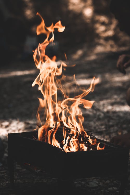 火坑摄影 · 免费素材图片