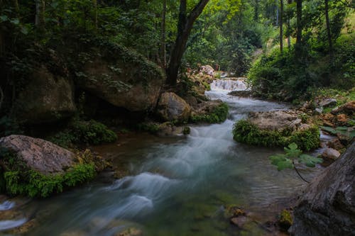 森林之间的河 · 免费素材图片