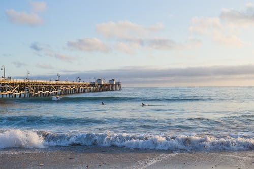 棕色木制码头包围水体 · 免费素材图片