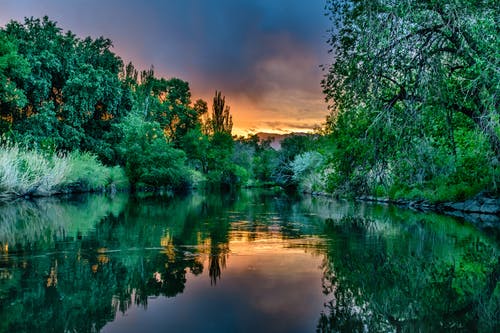 疣体 · 免费素材图片