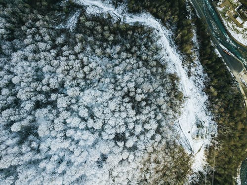森林覆盖着雪的鸟瞰图 · 免费素材图片