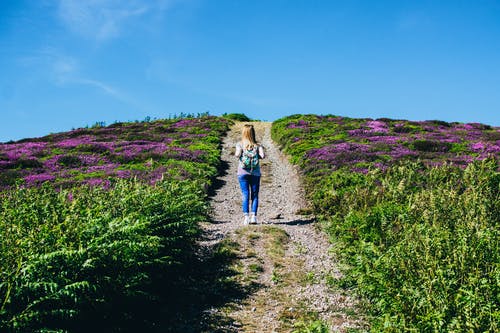 女人独自走在紫色的花田之间 · 免费素材图片
