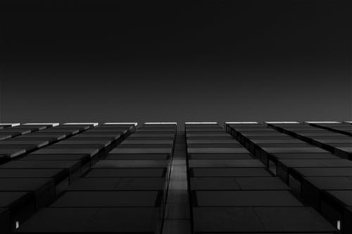 高层建筑的灰度照片 · 免费素材图片