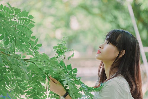 女人拿着叶子的摄影 · 免费素材图片