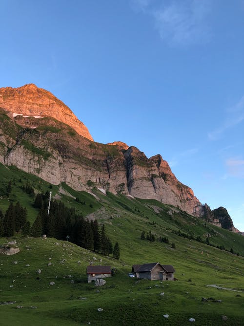 山上的绿草田 · 免费素材图片