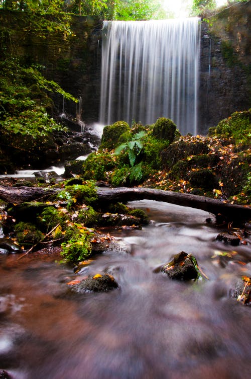 瀑布和绿叶的树木 · 免费素材图片