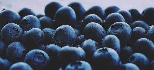 黑莓的浅焦点照片 · 免费素材图片