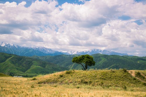 山脉上树的风景照片 · 免费素材图片