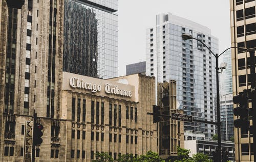 芝加哥论坛报大楼附近白天绿叶树 · 免费素材图片