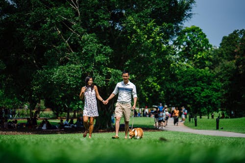 女人和男人在绿草环绕的绿色草地上行走时手牵着手在棕色的狗旁边 · 免费素材图片