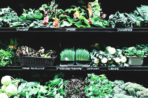 各种草药和蔬菜 · 免费素材图片