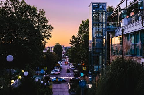 树木和建筑物中间的街道 · 免费素材图片