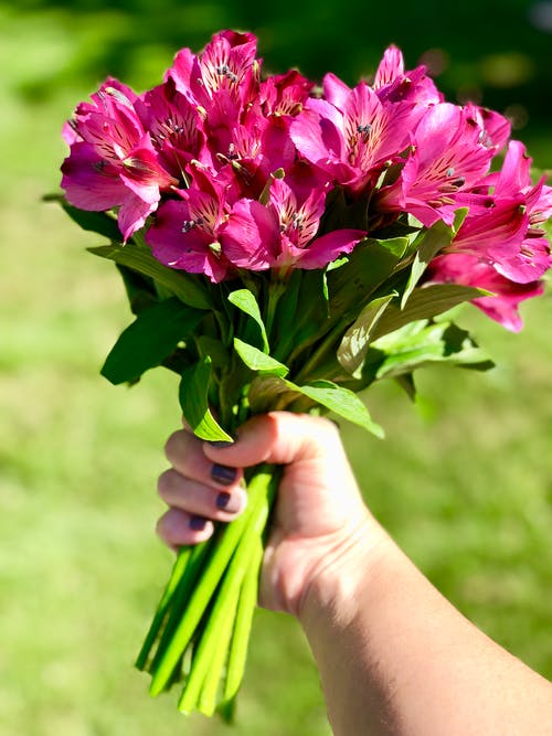 拿着花的人的照片 · 免费素材图片